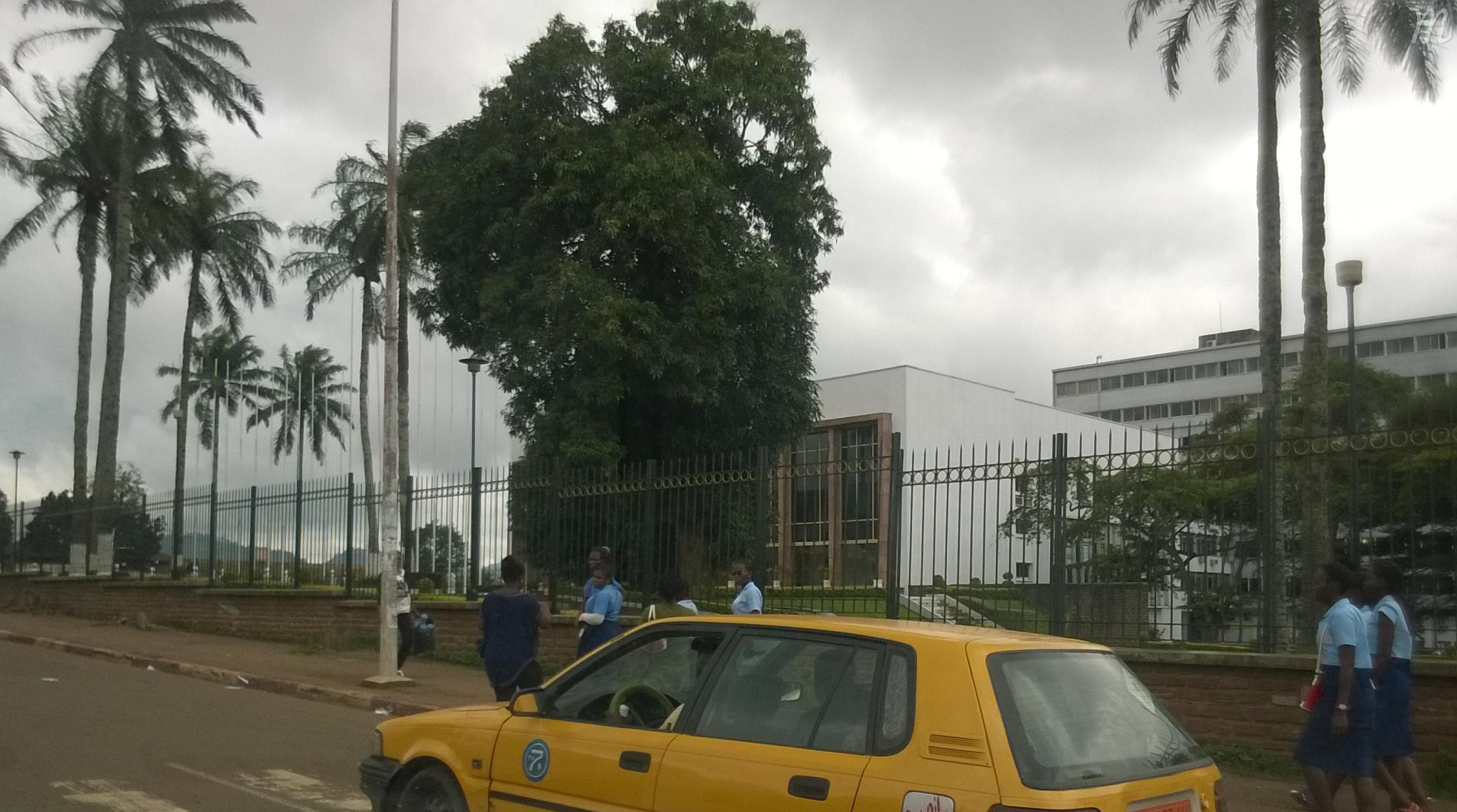 Cameroon Moves to Reinstate Vice Presidency as President Paul Biya Approaches 93rd Birthday