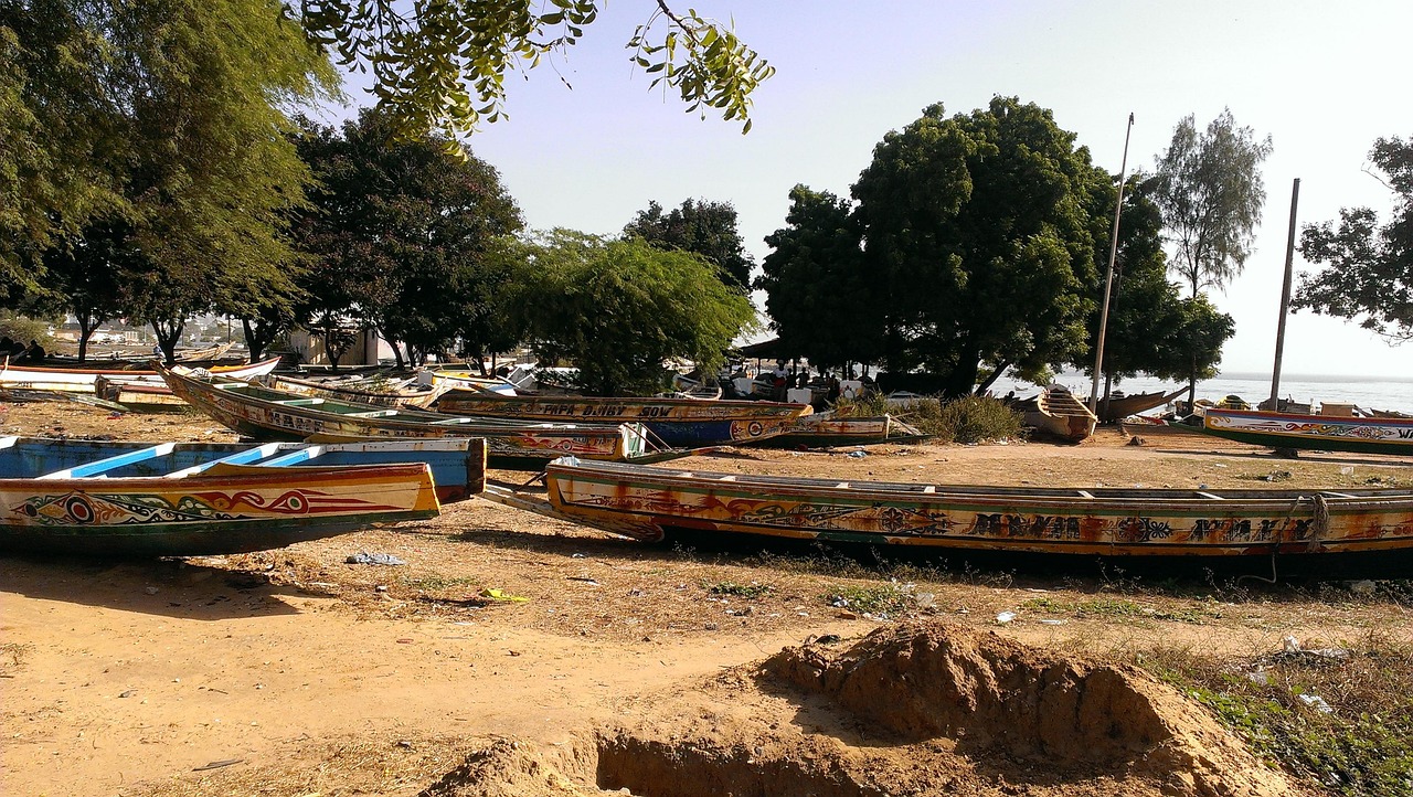 Senegal’s Parliament Votes to Criminalize Homosexuality with Up to 10 Years in Prison, Drawing International Condemnation