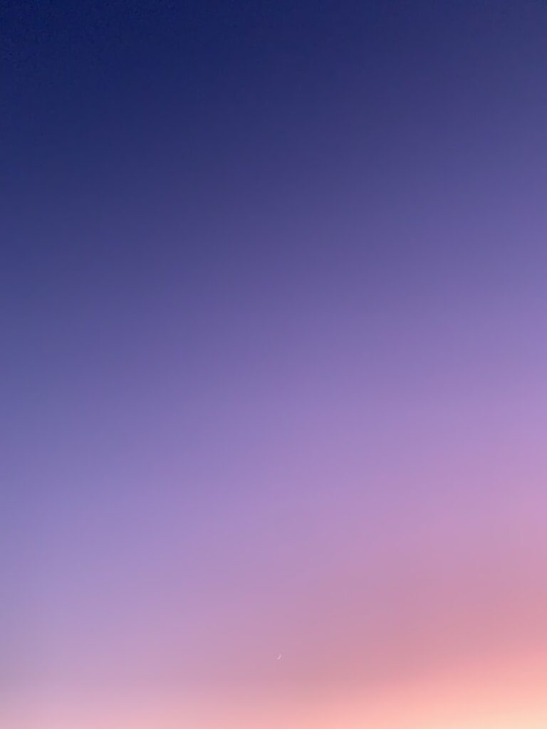 Benin election voting democracy