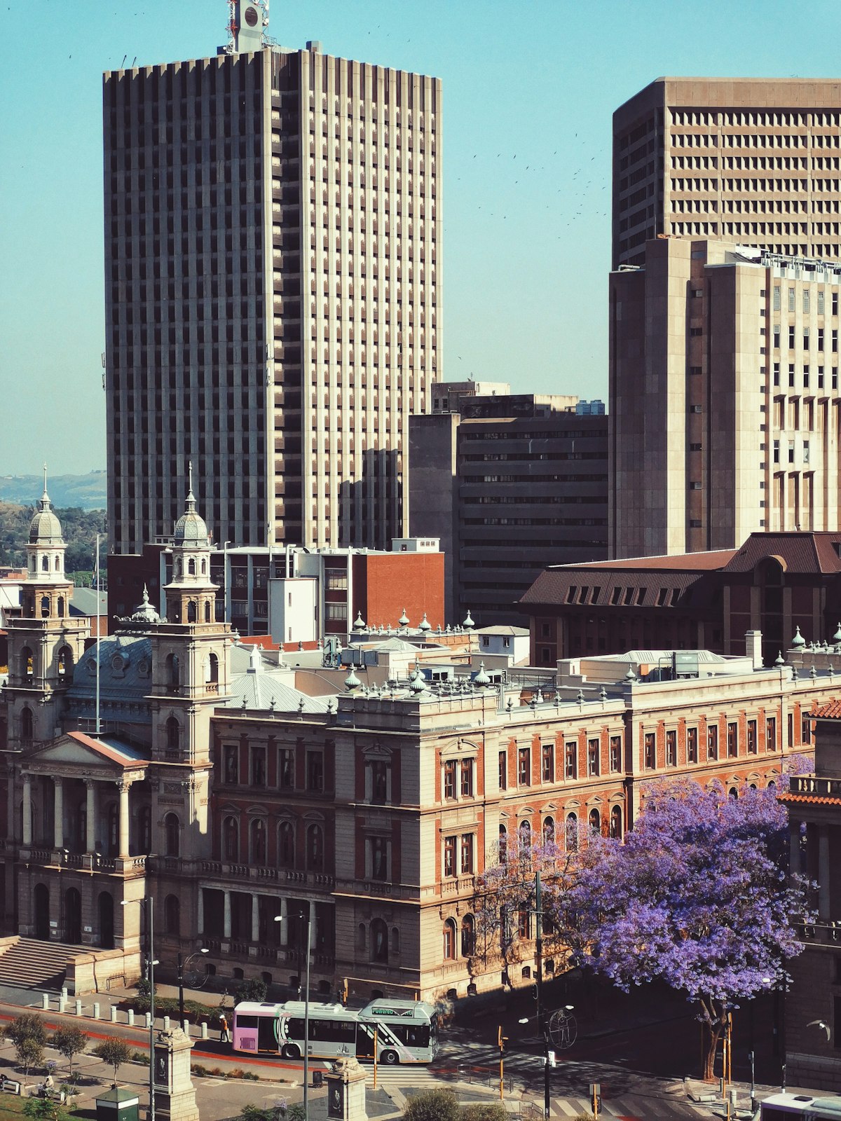 South Africa’s DA Coalition Party Elects Cape Town Mayor Hill-Lewis as New Leader