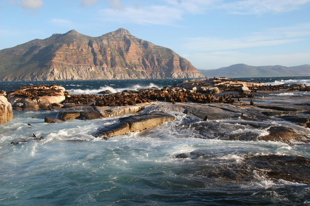 South Africa Deploys Army to Cape Town’s Crime-Ridden Townships in Largest Peacetime Internal Operation