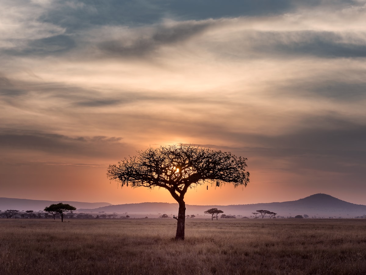 Kenya and Tanzania Sign Eight Bilateral Agreements to Deepen East African Integration