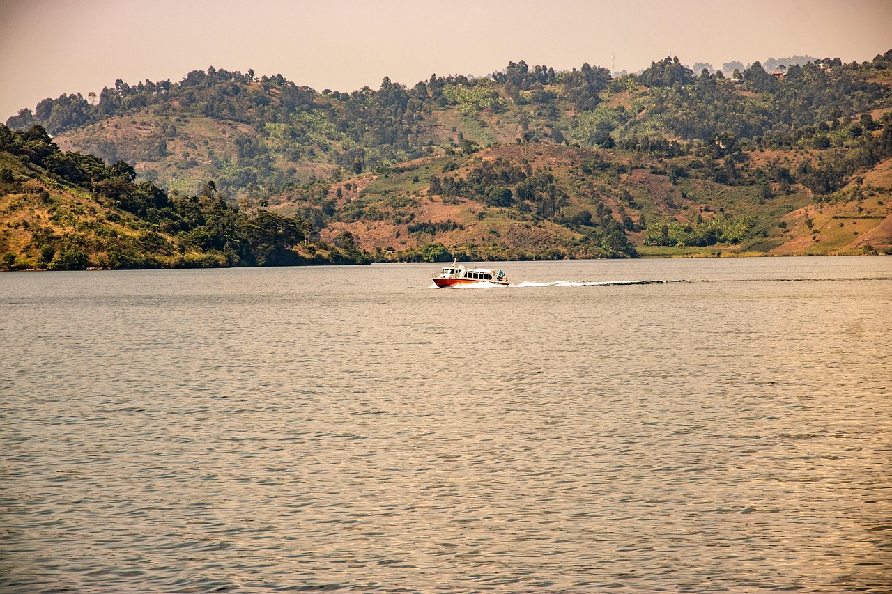 M23 Rebels Withdraw from Key Eastern DRC Towns Under US Ceasefire Pressure