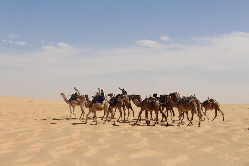 Desert landscape representing political unrest in Chad