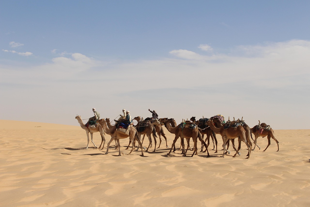 Chad’s Opposition Crackdown Threatens a Return to One-Party Rule