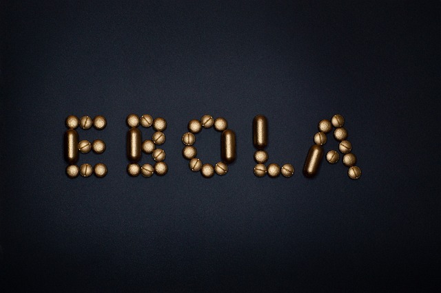 Medical team response to Ebola outbreak in DRC