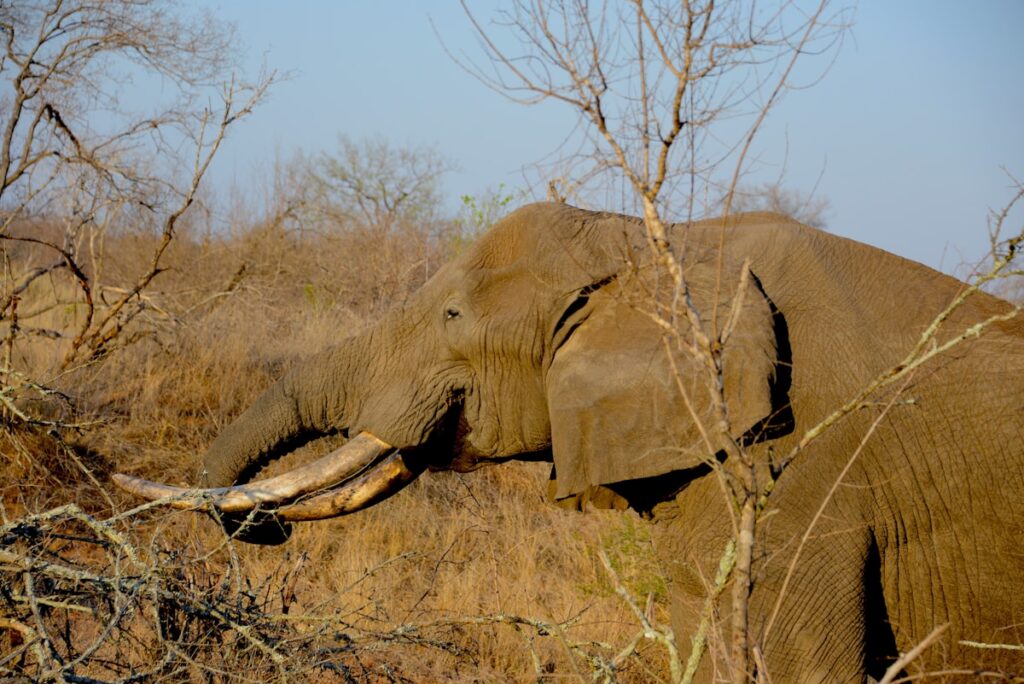 Botswana