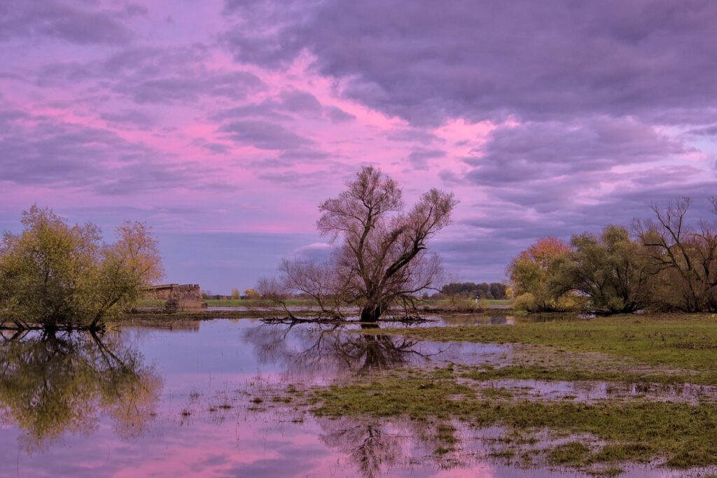 South Sudan flood crisis wetlands