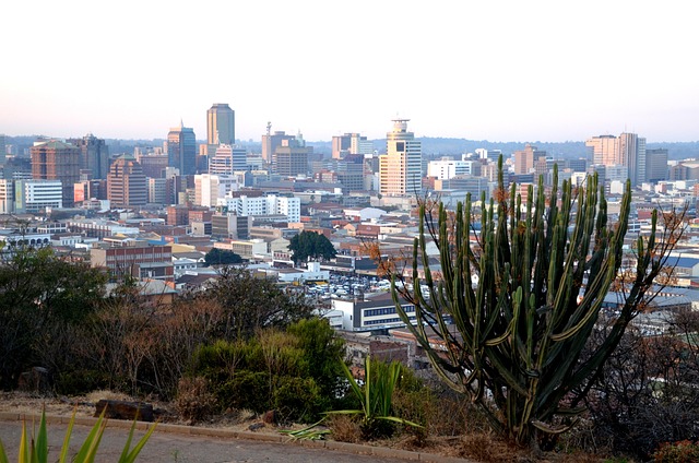Zimbabwe Tagwirei wedding ZiG currency debate