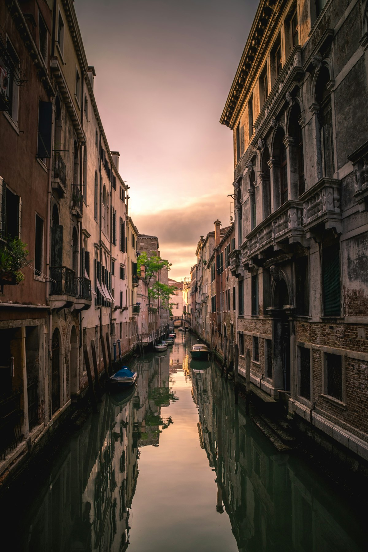 Africa Makes Historic Mark at Venice Biennale 2026 With Record Four Debut Nations