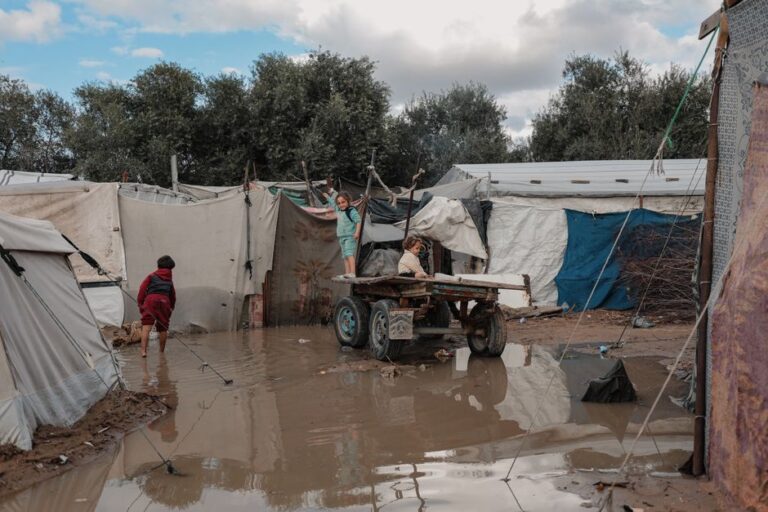 Activist Commends Algeria’s Humanitarian Support for Gaza Orphans After World Cup Exit