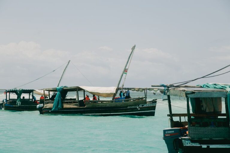 Africa’s Ocean Future Demands Action Beyond Pledges