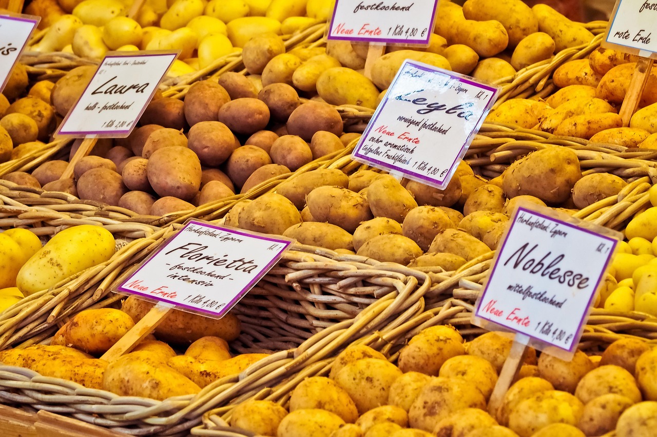 Inside South Africa Food Price Paradox: Why Families in Mthatha Pay More Than Cape Town