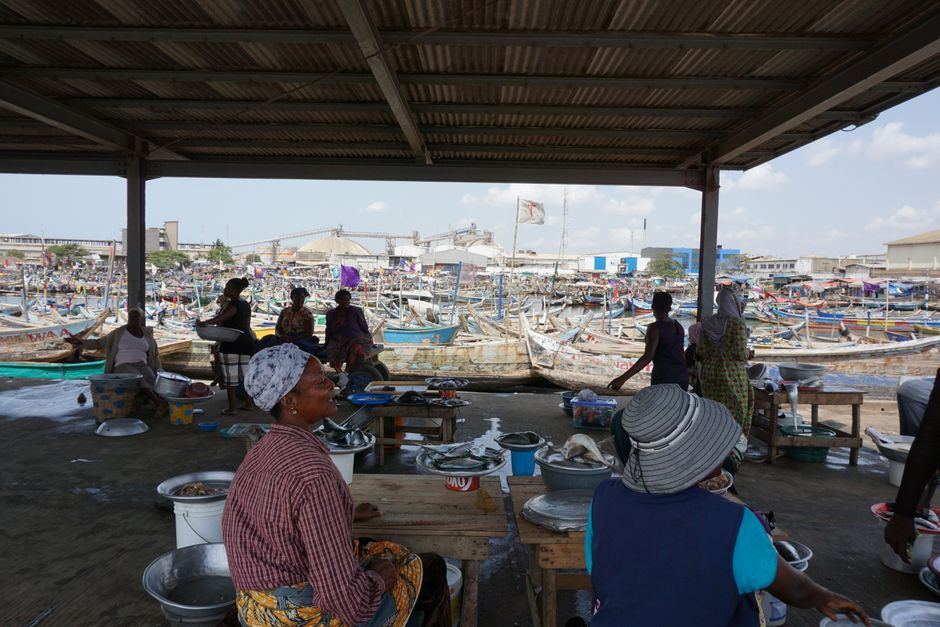 FAO's Blue Transformation Strategy Places Africa at the Heart of Global Aquatic Food Future