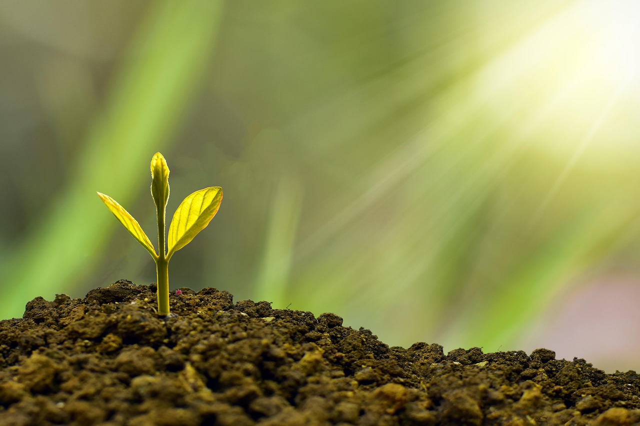 Africa Growth Engine Misfires: Continental Slowdown Is the Story But the Ending Is Still Being Written