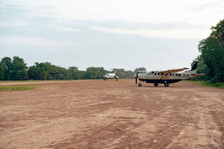 US Flight Carrying Deported Migrants Arrives in Central African Republic