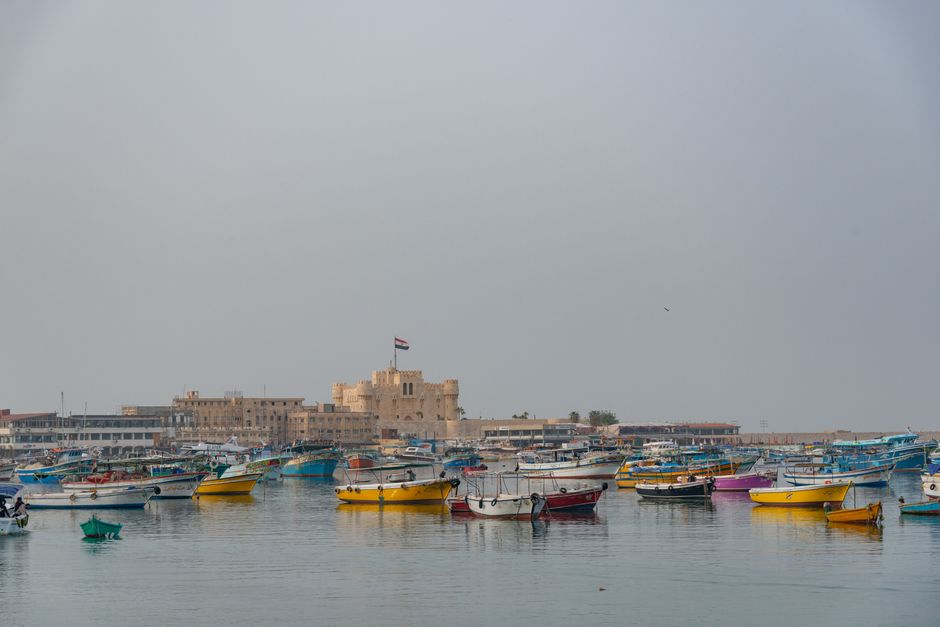 Cairo Consultations Spotlight the Diplomatic Contest Shaping the Horn of Africa and Red Sea