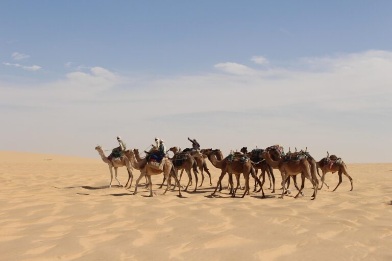 Chad’s long-awaited census meets logistical hurdles as citizens seek a platform for grievances