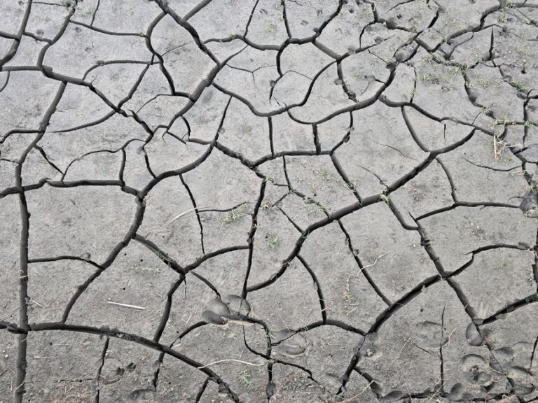Food emergency deepens across Uganda’s Karamoja region