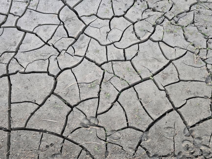Food emergency deepens across Uganda's Karamoja region