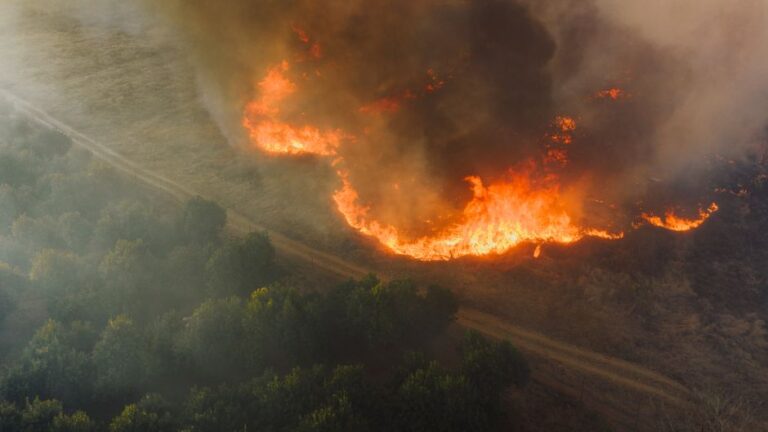 Heatwave fuels widespread wildfires across North Africa