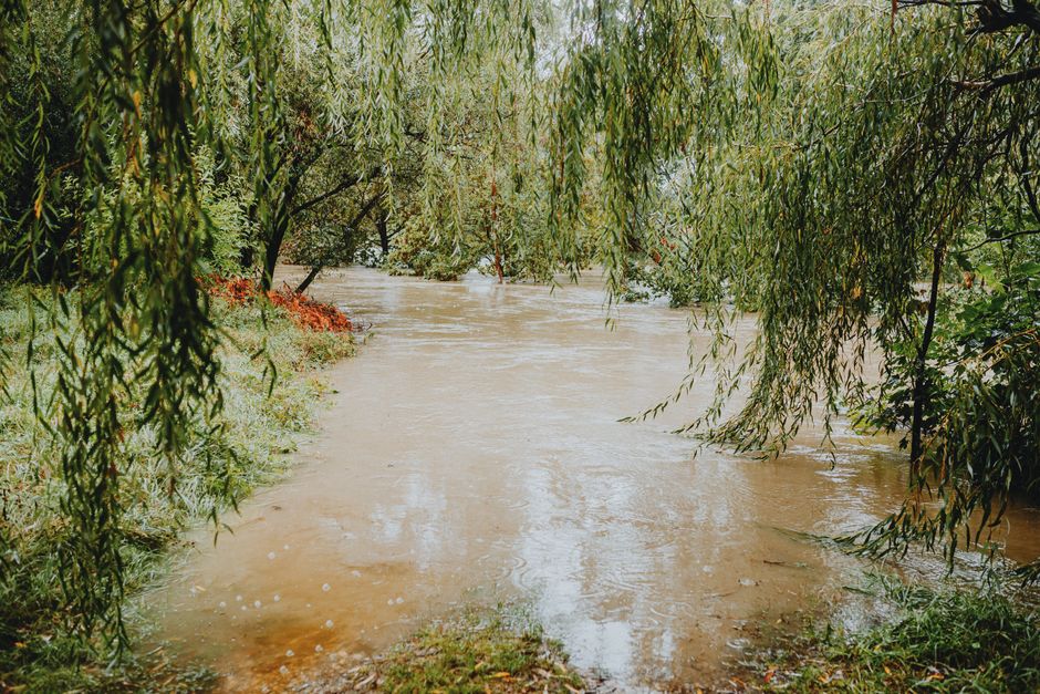 Record El Niño Raises Fears of Widespread Flooding from East Africa to Asia