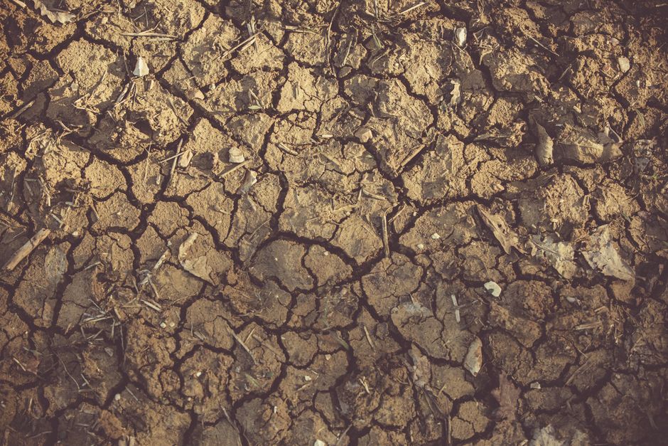 UN Moves Early to Shield Thousands in South Sudan as Drought Threat Looms in Eastern Equatoria