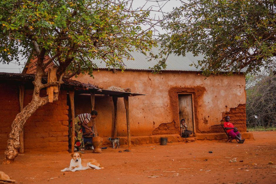 Waiting for Moses: African Families Bear the Weight of Russia's War