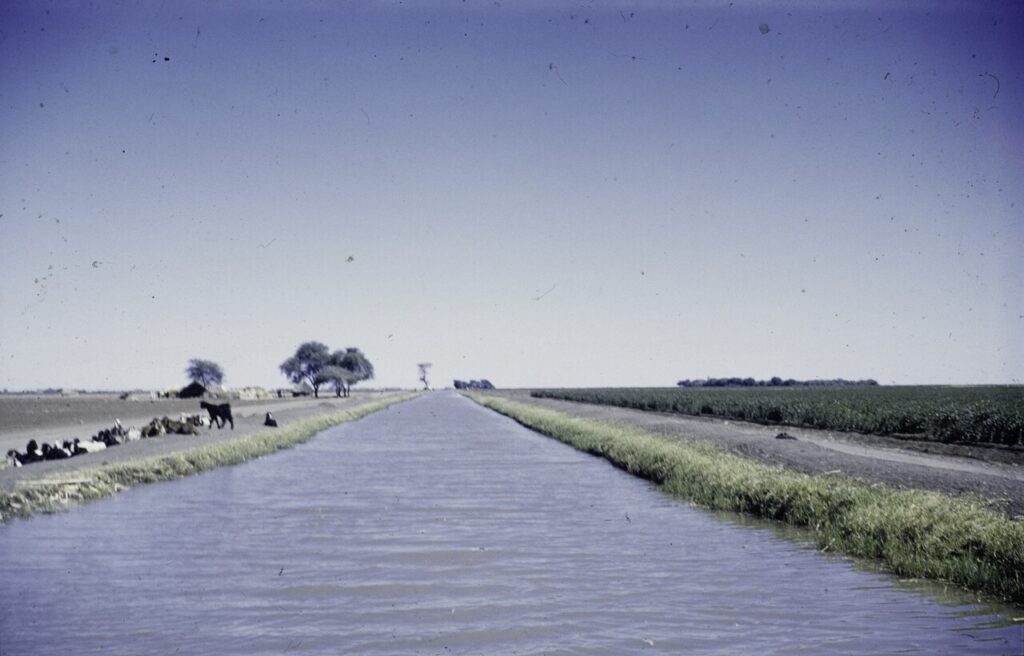 A wide view of irrigated farmland with straight water channels crossing flat plains under a hot sun, with low agricultural infrastructure vi