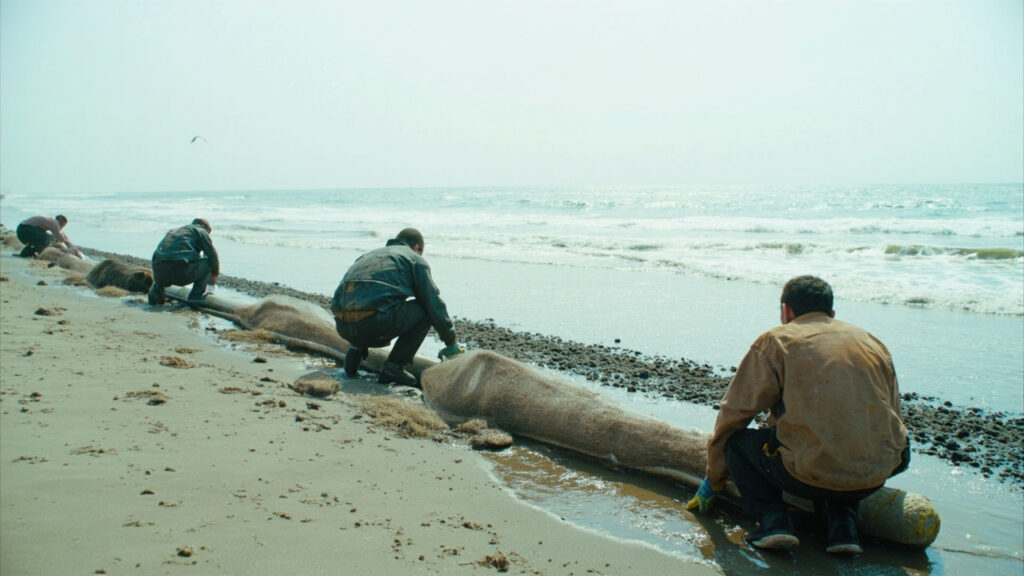 Figures viewed from behind on a sandy shoreline deploying long mesh tubes filled with fibrous material to absorb oil at the water's edge.