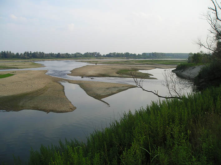 A wide stretch of dried riverbed with cracked earth and exposed sandbanks, low water trickling in a narrow channel, with a stone bridge visi