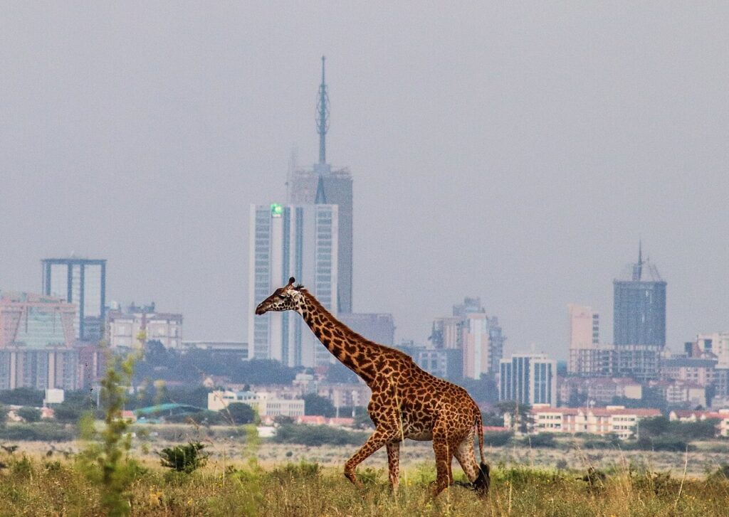 A wide photograph of Nairobi's central business district skyline at dusk with high-rise buildings.