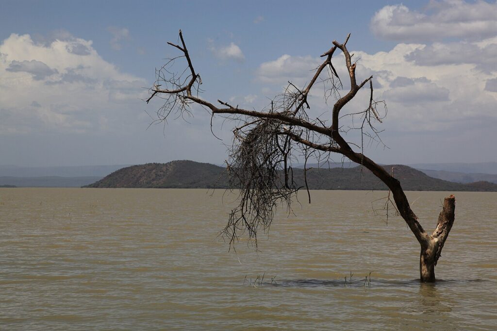A wide view of the swollen shoreline of an East African Rift lake, with floodwaters reaching into surrounding scrubland and partially submer