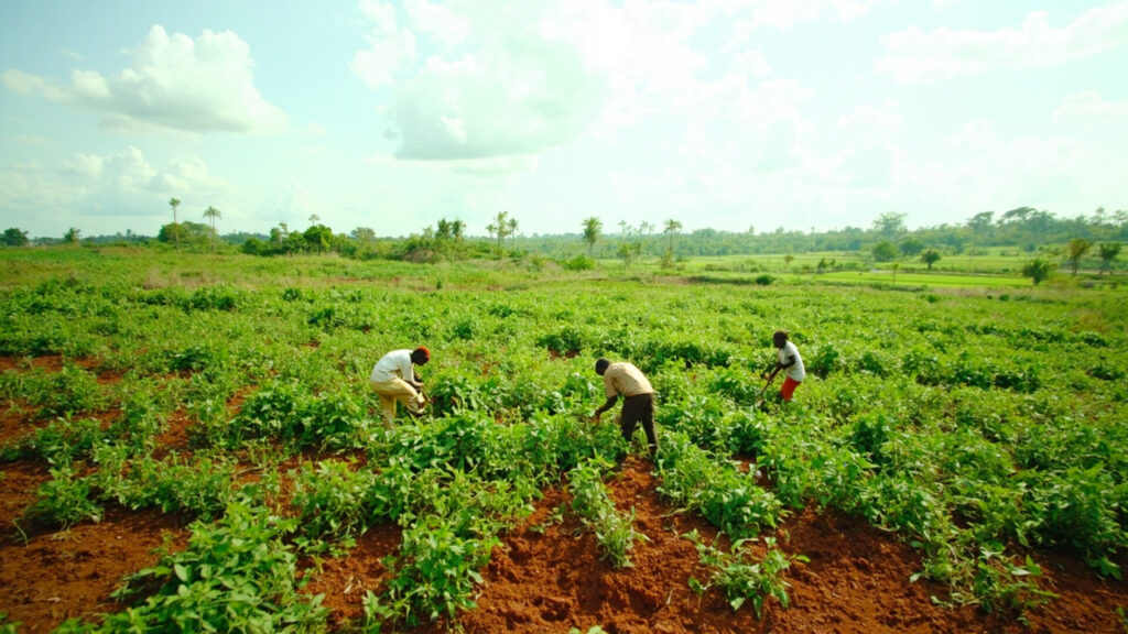 A view of a working farm or agricultural landscape with green fields and rural workers tending crops under bright daylight.