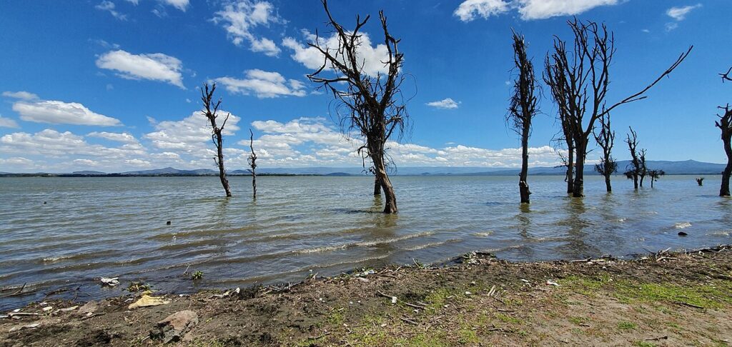 A flooded lakeshore with partially submerged structures and hippos resting in shallow water near a village.