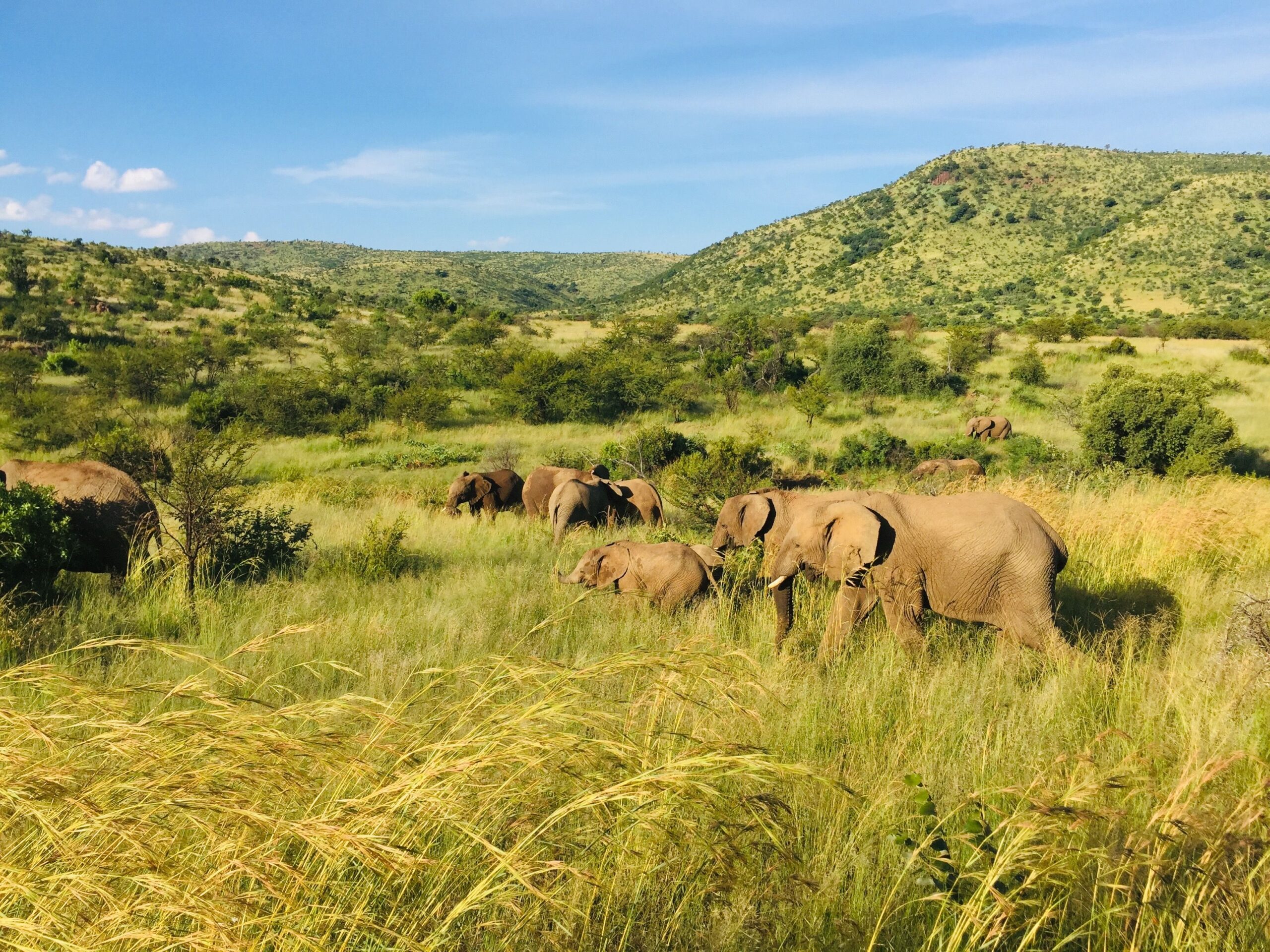 Africa’s conservation models struggle to shake colonial yoke